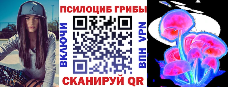 Псилоцибиновые грибы мицелий  купить закладку  darknet состав  Белая Холуница 
